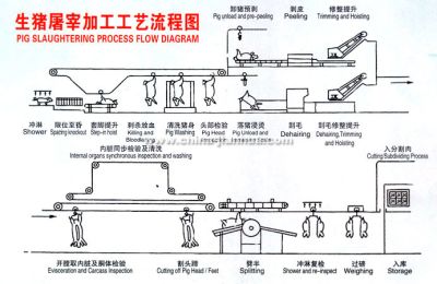 屠宰設(shè)備