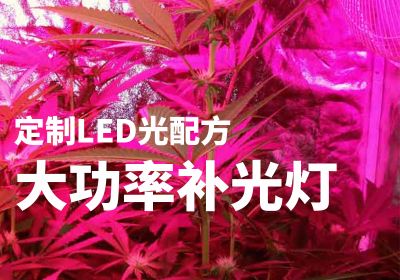 LED植物燈