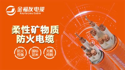 廣東華洋電纜實業(yè)有限公司