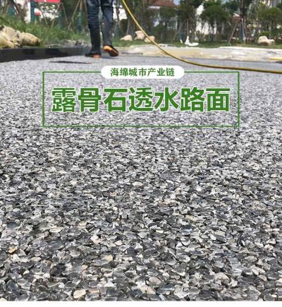 海綿城市生態(tài)建設工程(廣東)有限公司